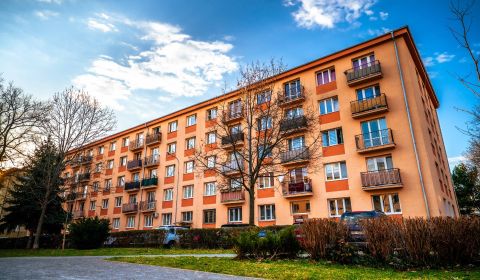Rent Two bedroom apartment, Two bedroom apartment, Obrancov mieru, Koš