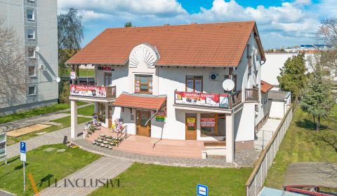 Rent Offices, Offices, Jilemnického, Dunajská Streda, Slovakia