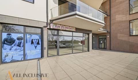 Rent Commercial premises, Commercial premises, Železničná, Dunajská St