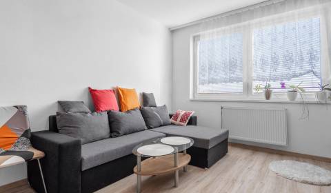Charming 3-Room Apartment with Garden and Garage in Vajnory