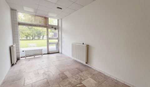 Rent Commercial premises, Commercial premises, Herlianska, Bratislava 