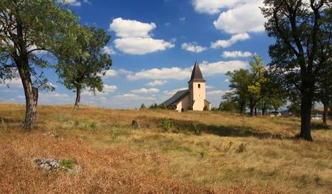 Sale Agrarian and forest land, Agrarian and forest land, Košice-okolie