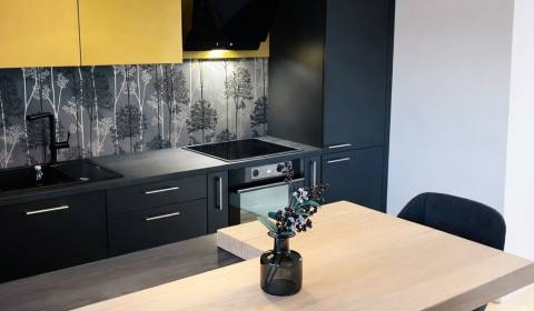 Rent One bedroom apartment, One bedroom apartment, Račianska, Bratisla