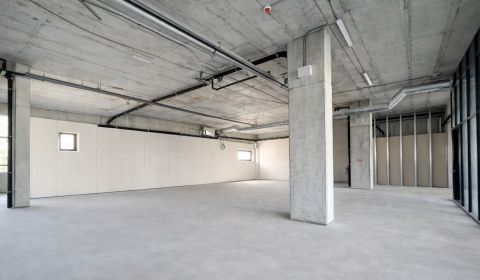 Rent Commercial premises, Commercial premises, Trnavská cesta, Bratisl