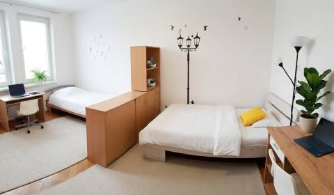 Sale One bedroom apartment, One bedroom apartment, Bratislava - Nové M