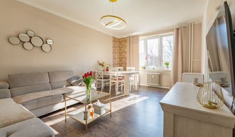 Sale One bedroom apartment, One bedroom apartment, Legionárska, Trenčí