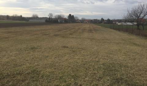 Sale Land – for living, Land – for living, Topoľčany, Slovakia