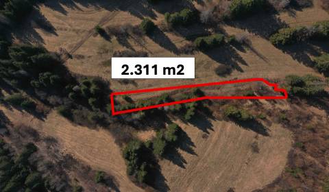 Sale Agrarian and forest land, Agrarian and forest land, Námestovo, Sl