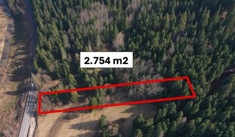 Sale Agrarian and forest land, Agrarian and forest land, Námestovo, Sl