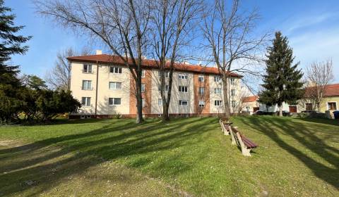 Rent One bedroom apartment, One bedroom apartment, Vajanského, Piešťan