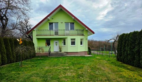 Sale Family house, Family house, Michalovce, Slovakia