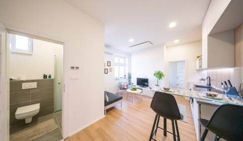 Rent One bedroom apartment, One bedroom apartment, Beskydská, Bratisla