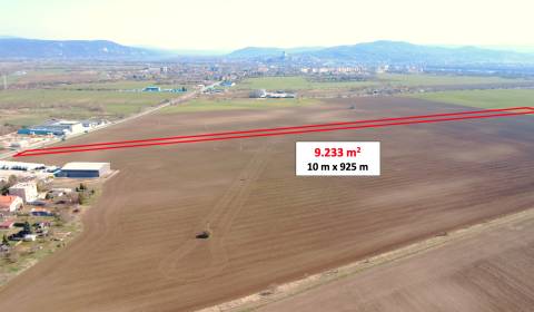 Sale Agrarian and forest land, Agrarian and forest land, Nové Zámky, S