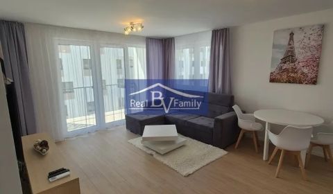 Rent One bedroom apartment, One bedroom apartment, Eduarda Wenzla, Bra