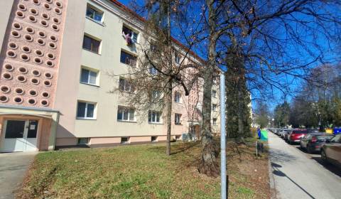 Sale One bedroom apartment, One bedroom apartment, J. Bánika, Zvolen, 