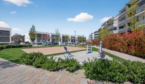 Rent One bedroom apartment, One bedroom apartment, Orechová, Senec, Sl