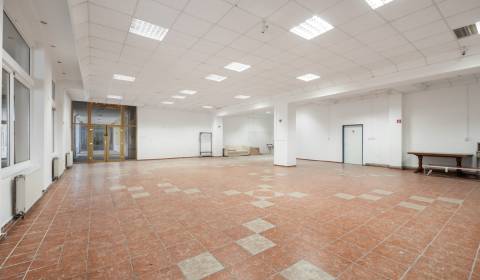 Sale Commercial premises, Commercial premises, Námestie Armina Vambery