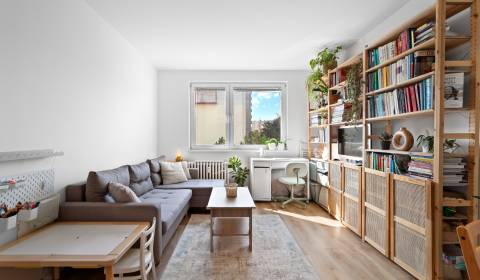 Sale One bedroom apartment, One bedroom apartment, Kpt. Jána Rašu, Bra