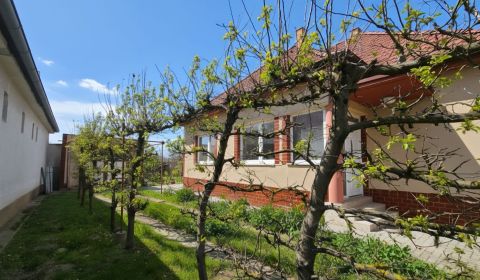 Sale Family house, Family house, Trnava, Slovakia