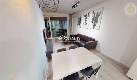 Rent One bedroom apartment, Nitra, Slovakia