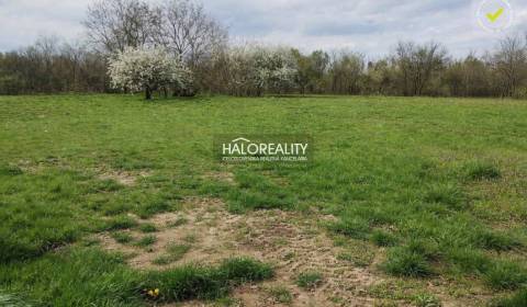 Sale Land – for living, Levice, Slovakia