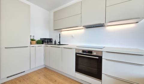 Rent One bedroom apartment, One bedroom apartment, Mlynské nivy, Brati