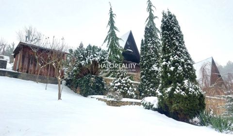 Sale Cottage, Ilava, Slovakia