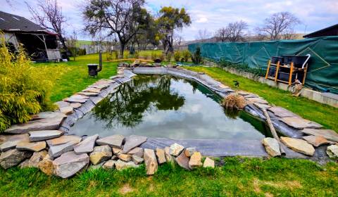 Sale Family house, Family house, Družstevná, Košice-okolie, Slovakia