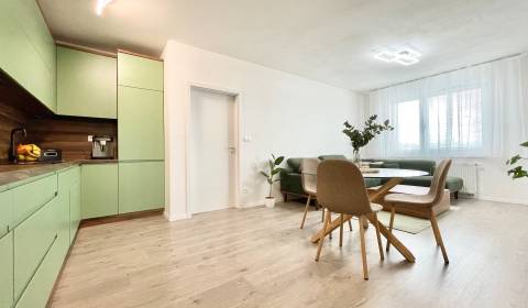 Rent One bedroom apartment, One bedroom apartment, Na pažiti, Trenčín,