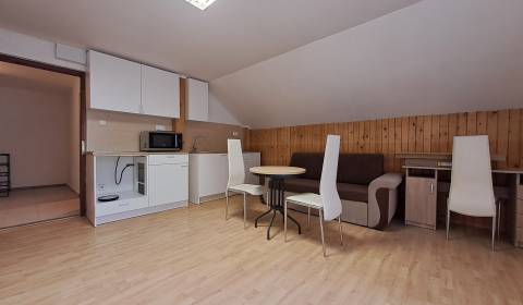 Rent Two bedroom apartment, Two bedroom apartment, Jilemnického, Marti