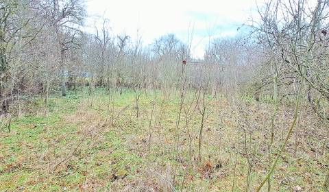 Sale Land – for living, Land – for living, Levice, Slovakia