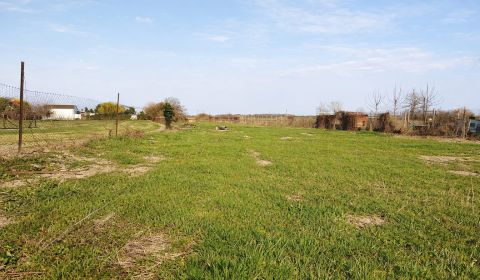 Sale Land – for living, Land – for living, Galanta, Slovakia