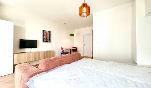 Rent Studio, Studio, Cementárenská, Malacky, Slovakia