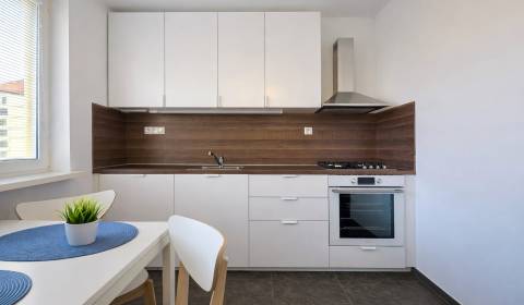 Rent One bedroom apartment, One bedroom apartment, Krížna, Bratislava 