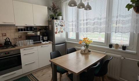 Sale One bedroom apartment, One bedroom apartment, Nerudova, Trnava, S