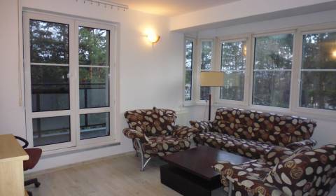Rent One bedroom apartment, One bedroom apartment, Veselá, Prešov, Slo