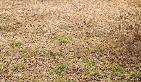Sale Land – for living, Land – for living, Čadca, Slovakia