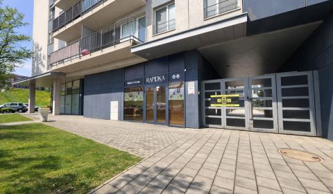 Sale Commercial premises, Commercial premises, Hrachová, Bratislava - 
