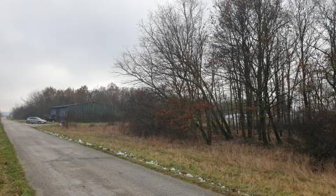 Sale Agrarian and forest land, Agrarian and forest land, Pezinok, Slov