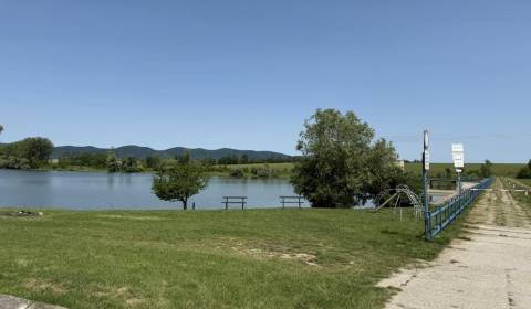 Sale Agrarian and forest land, Agrarian and forest land, Trnava, Slova
