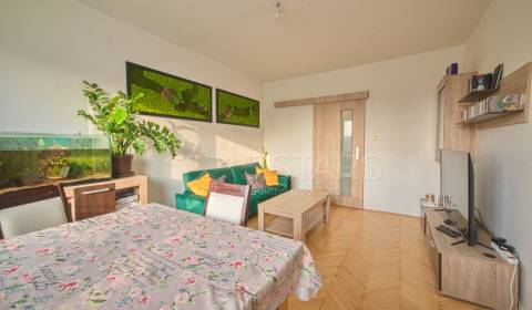 Sale Two bedroom apartment, Two bedroom apartment, Trenčianska, Ilava,