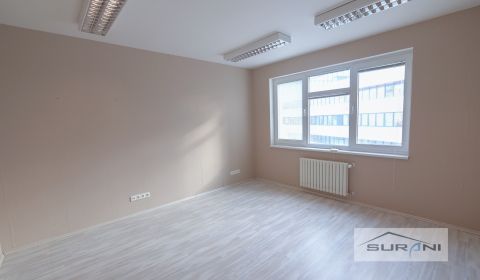 Rent Offices, Offices, Paulínyho, Bratislava - Staré Mesto, Slovakia