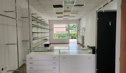 Rent Commercial premises, Commercial premises, Hviezdoslavova, Senica,