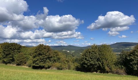 Sale Agrarian and forest land, Agrarian and forest land, Bardejov, Slo