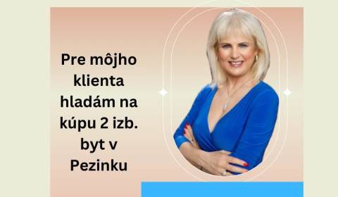 Searching for One bedroom apartment, One bedroom apartment, Pezinok, S