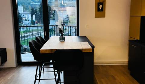 Rent One bedroom apartment, One bedroom apartment, Račianska, Bratisla