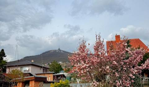 Sale Family house, Family house, Metodova, Nitra, Slovakia