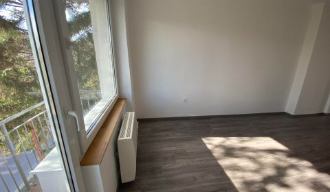 Sale One bedroom apartment, One bedroom apartment, Školská, Dunajská S