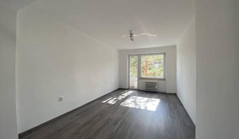 Sale One bedroom apartment, One bedroom apartment, Školská, Dunajská S