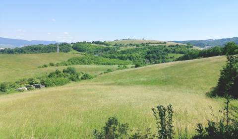 Sale Land – for living, Land – for living, Levočská, Prešov, Slovakia